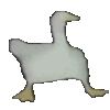 NM_DuckDrunk